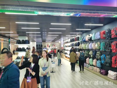 創(chuàng)新驅(qū)動(dòng)與全球視野 2023中國(guó)·白溝國(guó)際箱包博覽會(huì)開幕紀(jì)實(shí)